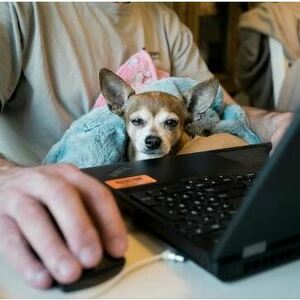 Fundraising Page: Valerie Hall